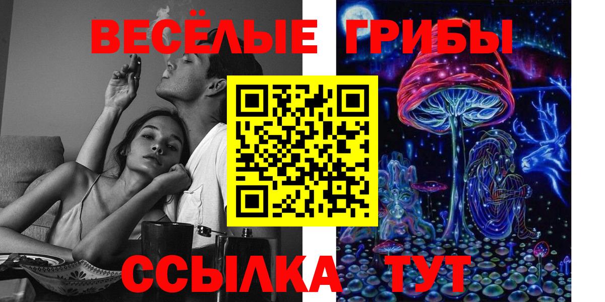 Галлюциногенные грибы Magic Shrooms  Вход с VPN  Гатчина 